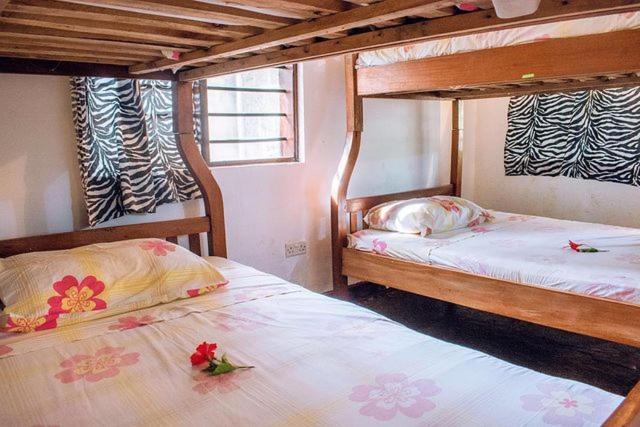 Kijani Cottages Diani 디아니 해변 외부 사진