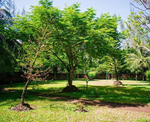 Kijani Cottages Diani 디아니 해변 외부 사진