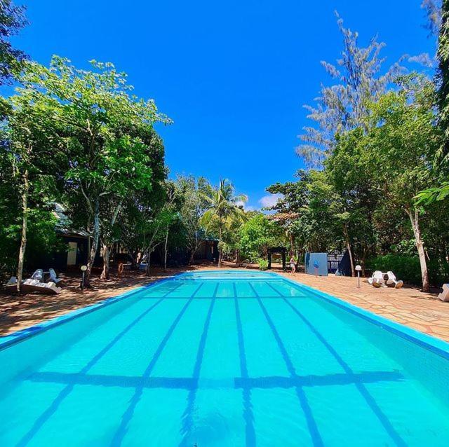 Kijani Cottages Diani 디아니 해변 외부 사진